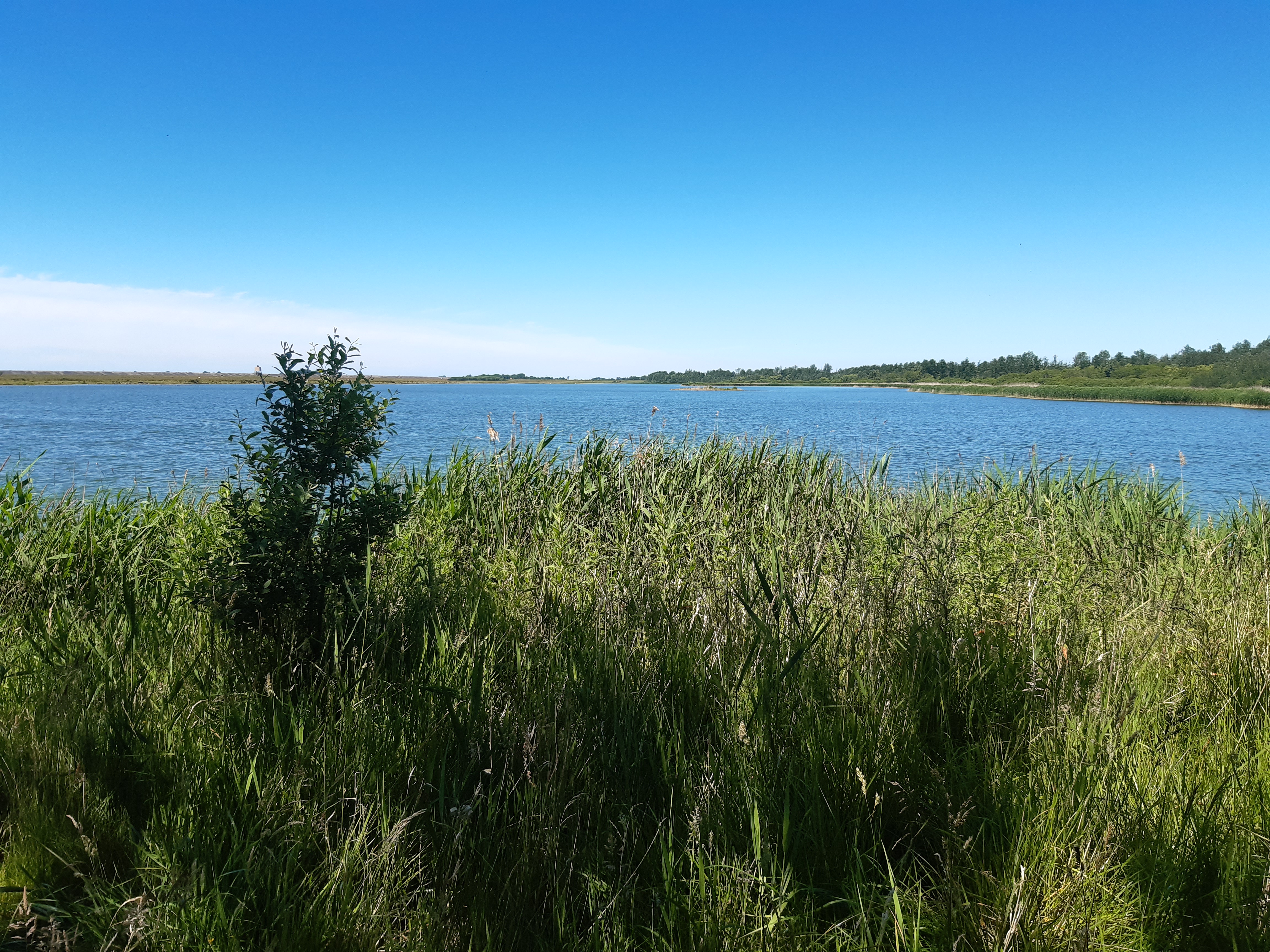 Nordsee Schleswig-Holstein